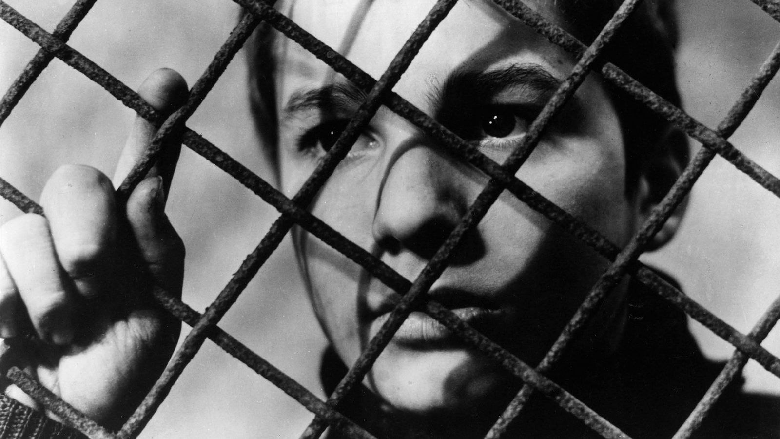 The 400 Blows Film at Lincoln Center