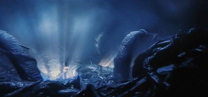 Emma Watson as Hermion via Warner Bros