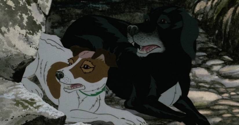 Rowf The Plague Dogs, the Even Darker Sister-Film to Watership Down
