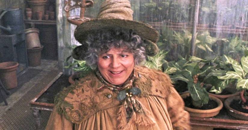 Harry Potter: Every Hogwarts Professor in the Movies, Ranked