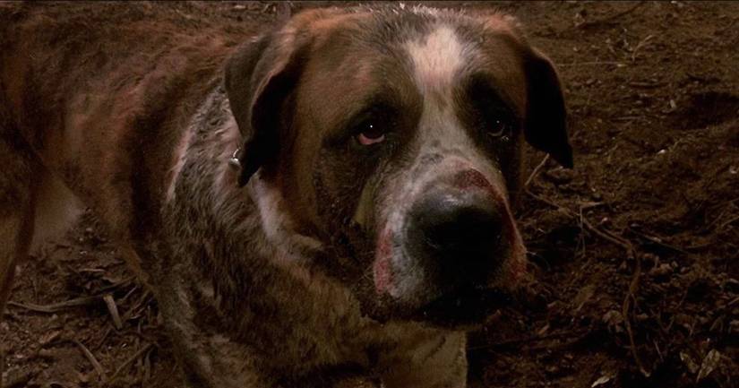 18 Best Creature Features of the 1980s