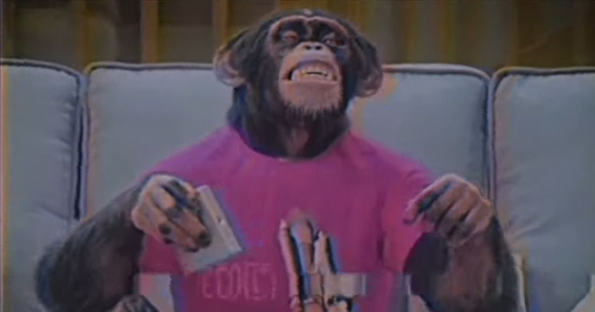 Jordan Peele’s Nope: How Gordy the Chimp’s Storyline Drives the Message