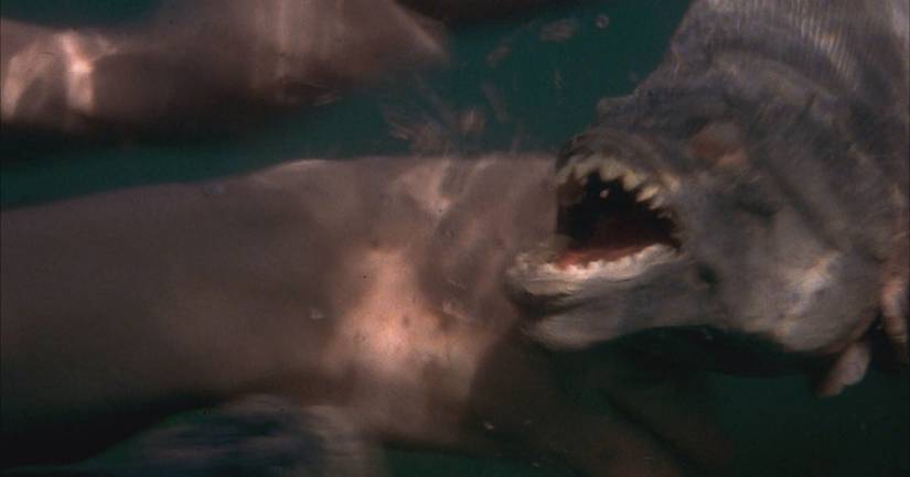 Rip-Offs of Classic Horror Films That Are Actually Good