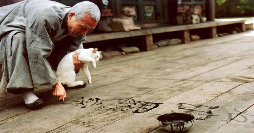 These Movies Completely Encompass Buddhism