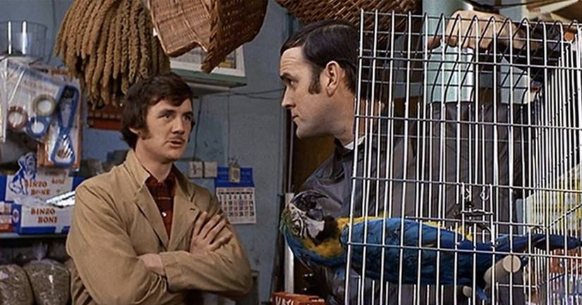 Monty Python’s Flying Circus: The Best Sketches, Ranked