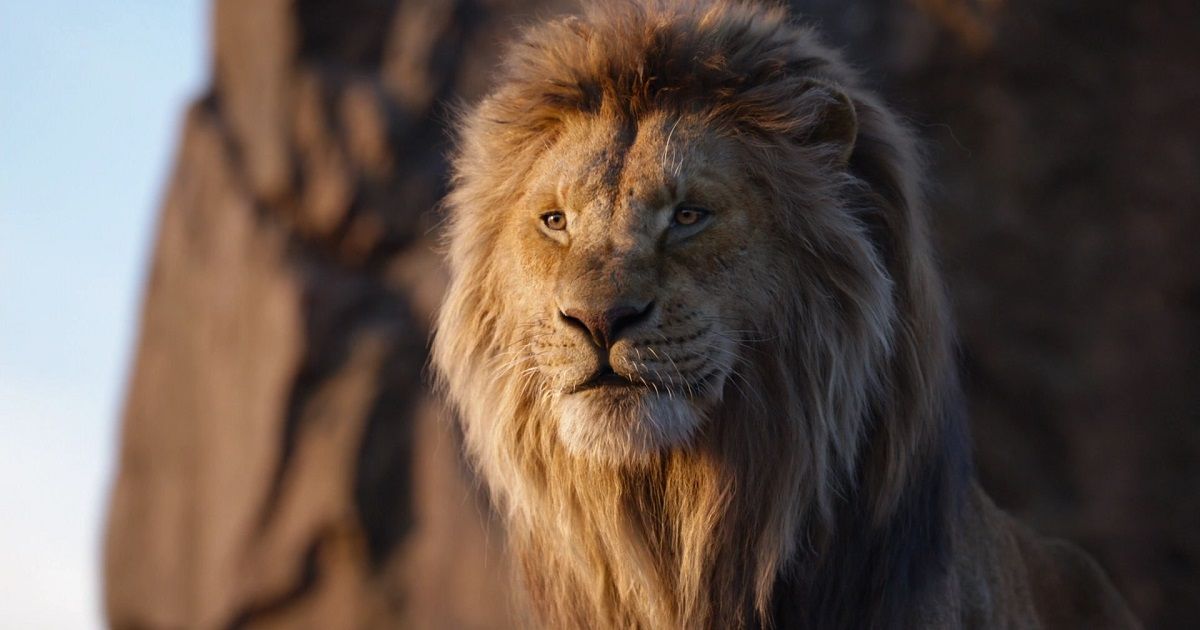 ⭐︎MufasaKing⭐︎ Mufasa: The Lion King | Rotten Tomatoes