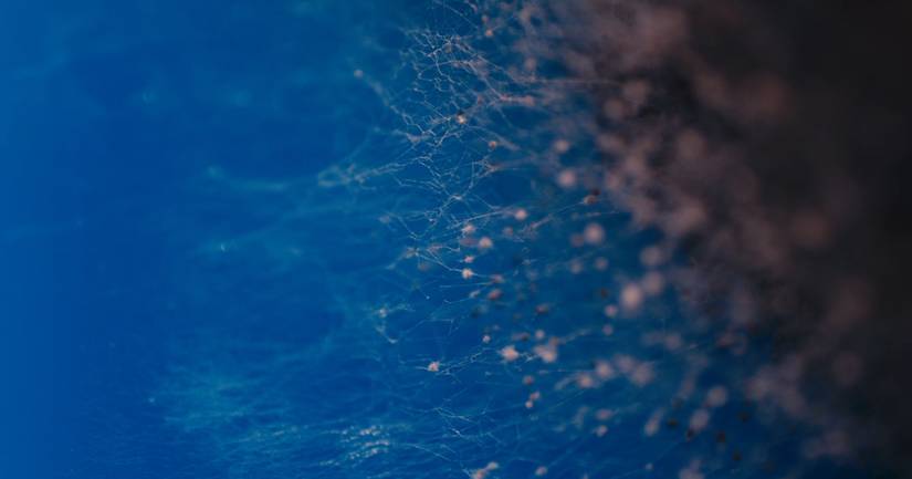 Exclusive: Johannes Grenzfurthner Discusses Acclaimed Experimental ...