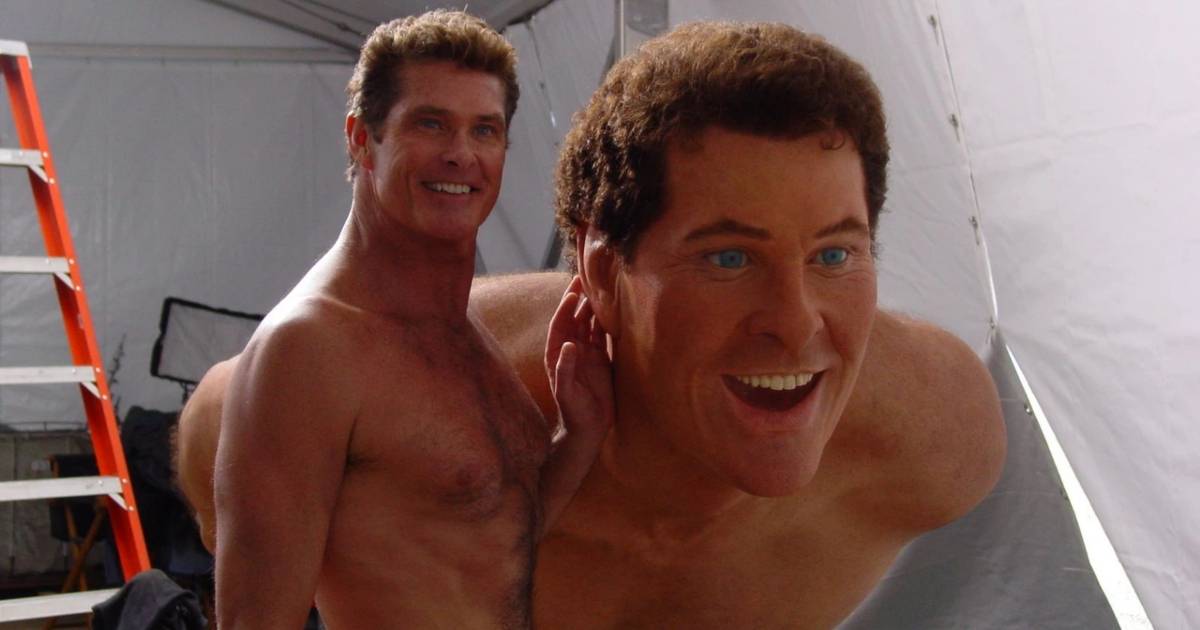 Why Does David Hasselhoff Do So Many Cameos?