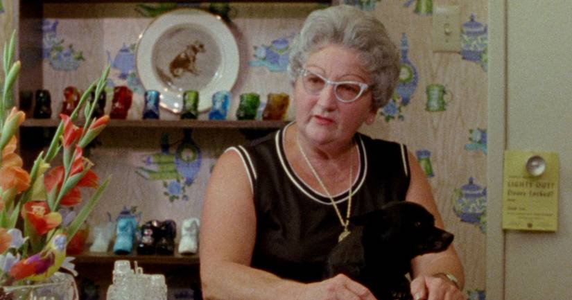 Gates of Heaven still