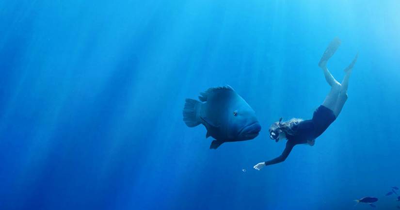 Blueback Review: This Is One Scenic, Heartwarming Film to Savor