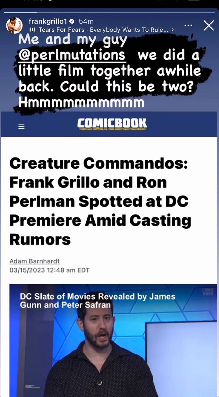 Frank Grillo Confirms Roles for Himself & Ron Perlman in DCU Series ...