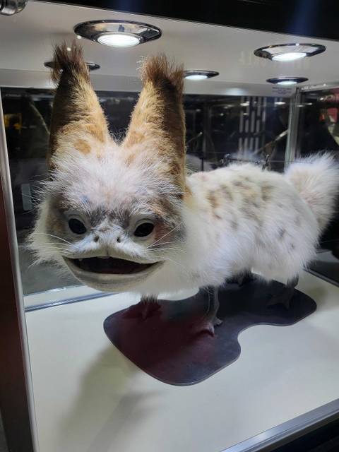 Comic-Con Images Reveal Star Wars, Marvel and DC Costumes, Props & More