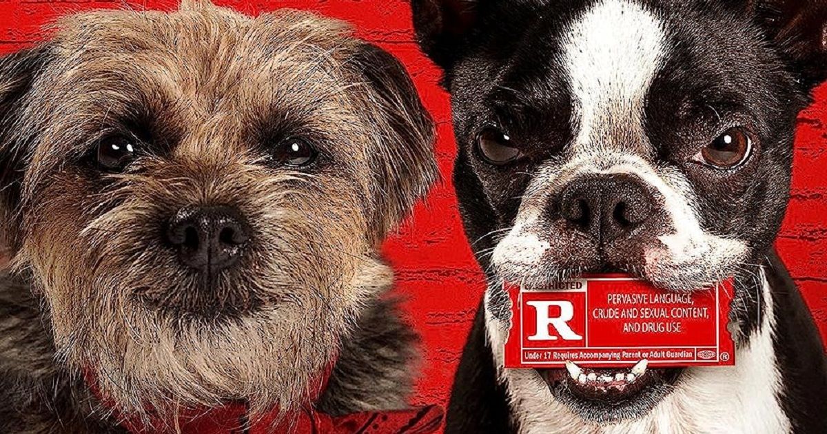 Strays Prioritized Using Real Dogs Over CGI in the Will Ferrell Comedy