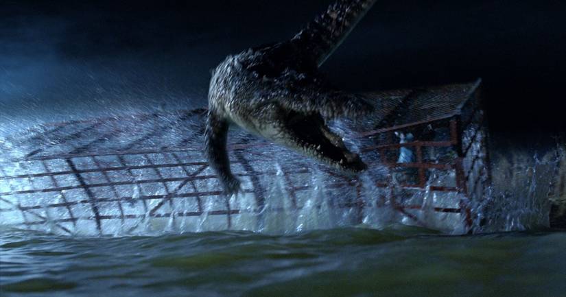 Best Movies About Deadly Alligators and Crocodiles, Ranked