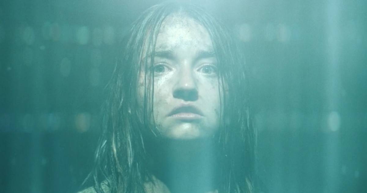 10 Movies With Almost No Dialogue to Watch If You Loved No One Will ...