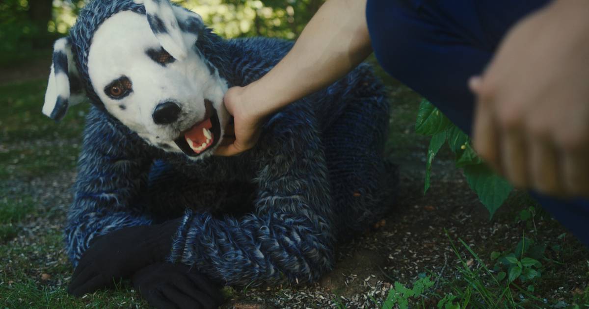 Good Boy Review The Darkest Weirdest Puppy Play You Ll End Up Loving