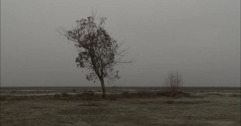 Allensworth Review | Evoking Anger and Confrontation Through Still Shots
