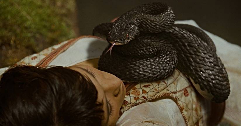 25 Movies to Avoid if You’re Afraid of Snakes