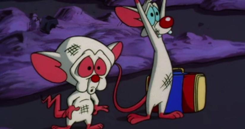 Pinky and the Brain's Best Episodes, Ranked