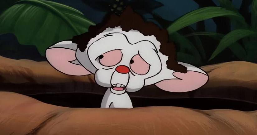 Pinky and the Brain's Best Episodes, Ranked