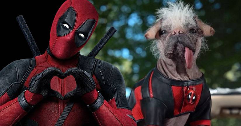 Deadpool 3 Gets First Official Synopsis; Teases an MCU Shake-Up