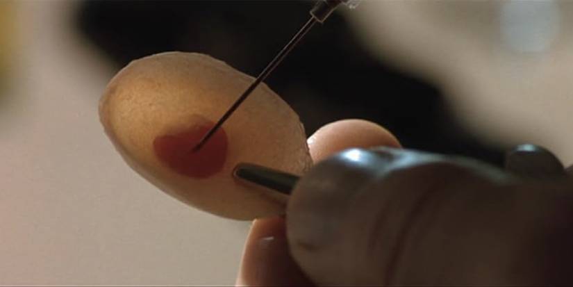 Gattaca: 10 Reasons to Revisit Ethan Hawke and Jude Law's Underrated ...
