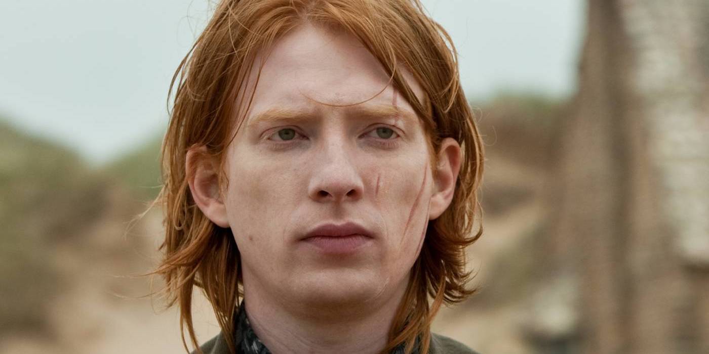 Harry Potter's Family Tree, Explained