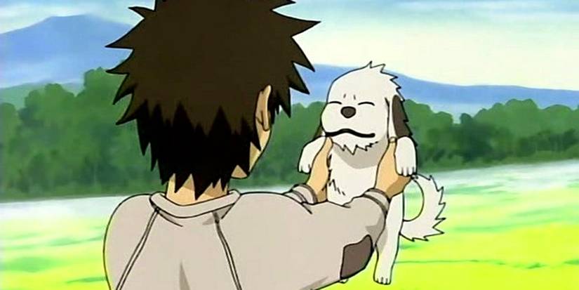 The 10 Most Iconic Animal Characters in Anime, Ranked