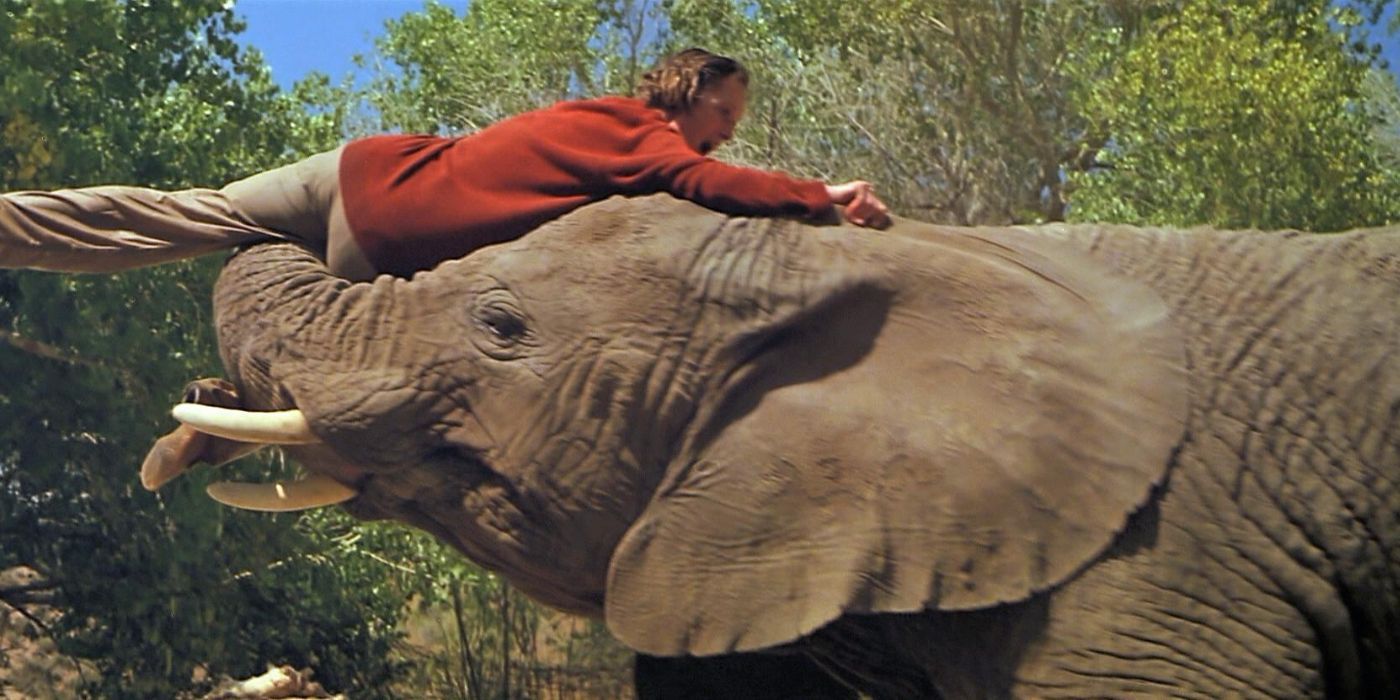 Roar: The Deadliest Film Ever Made