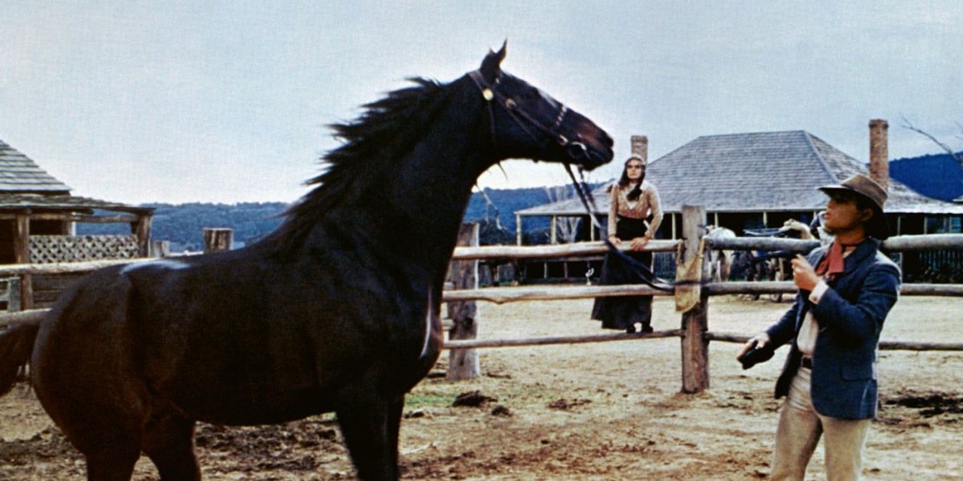 The 10 Greatest Australian Westerns, Ranked
