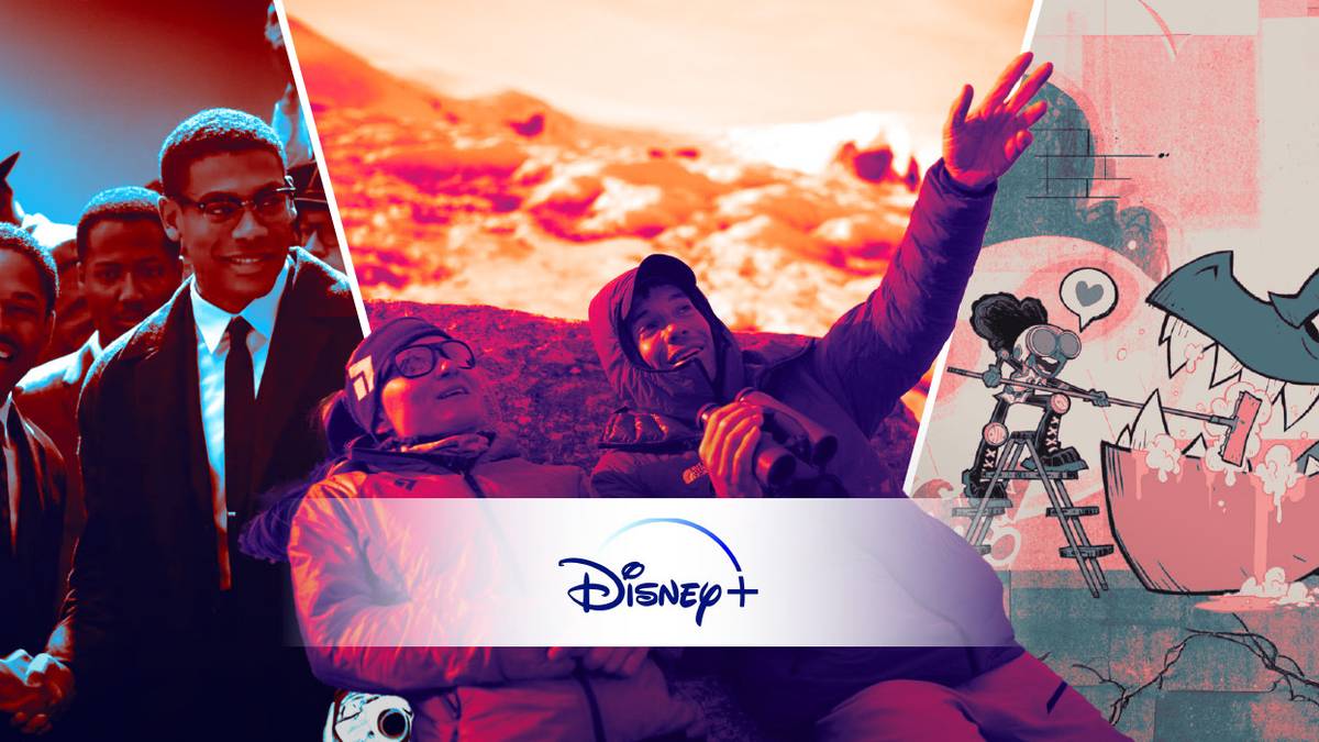 Every TV Series Coming to Disney+ in February 2024