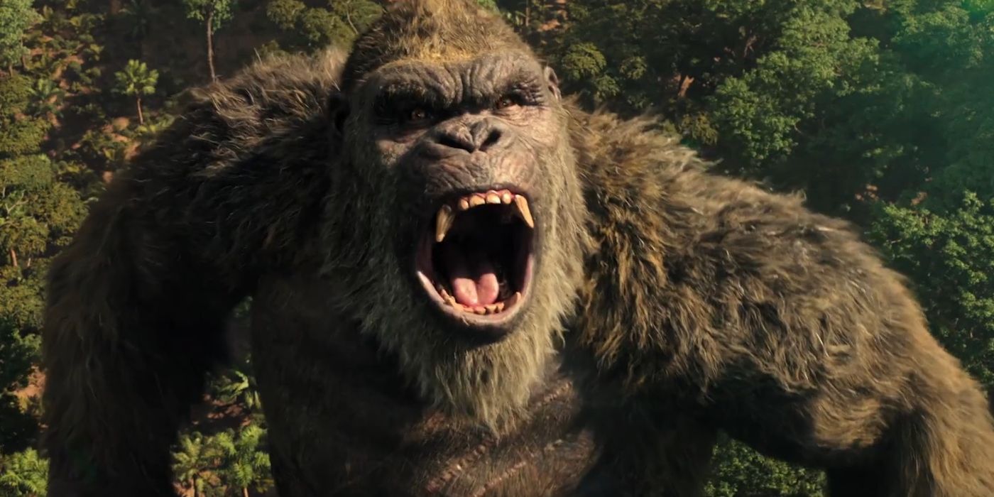 'Godzilla x Kong 3' Is Filming Now in Queensland, Australia