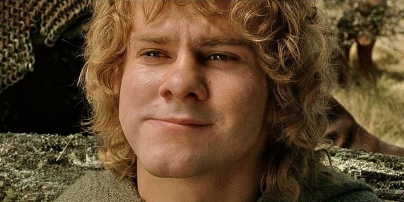 How Old Are the Fellowship Members in 'Lord of the Rings'?