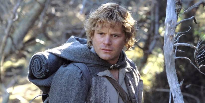 How Old Are the Fellowship Members in 'Lord of the Rings'?