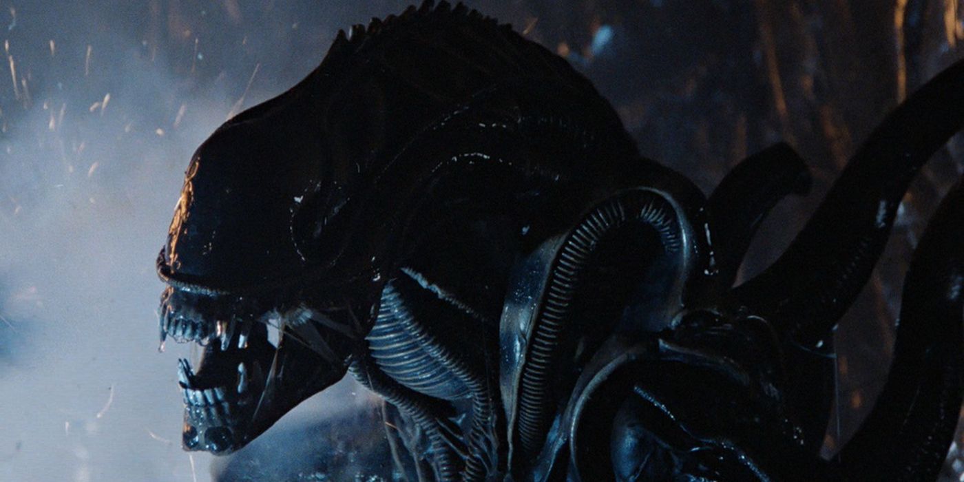How Alien’s Creature Became Known as the Xenomorph