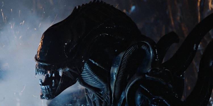 How Alien’s Creature Became Known as the Xenomorph