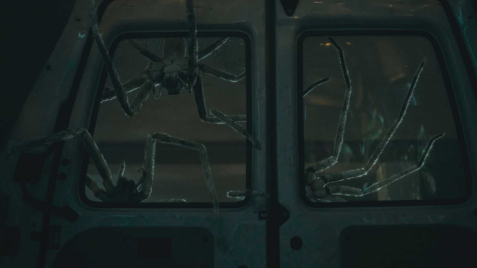 Large killer spiders crawl through the window of a van in Infested