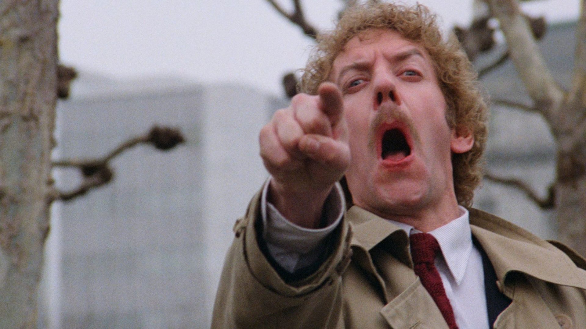 Best Horror Movies on Amazon Prime to Watch Right Now