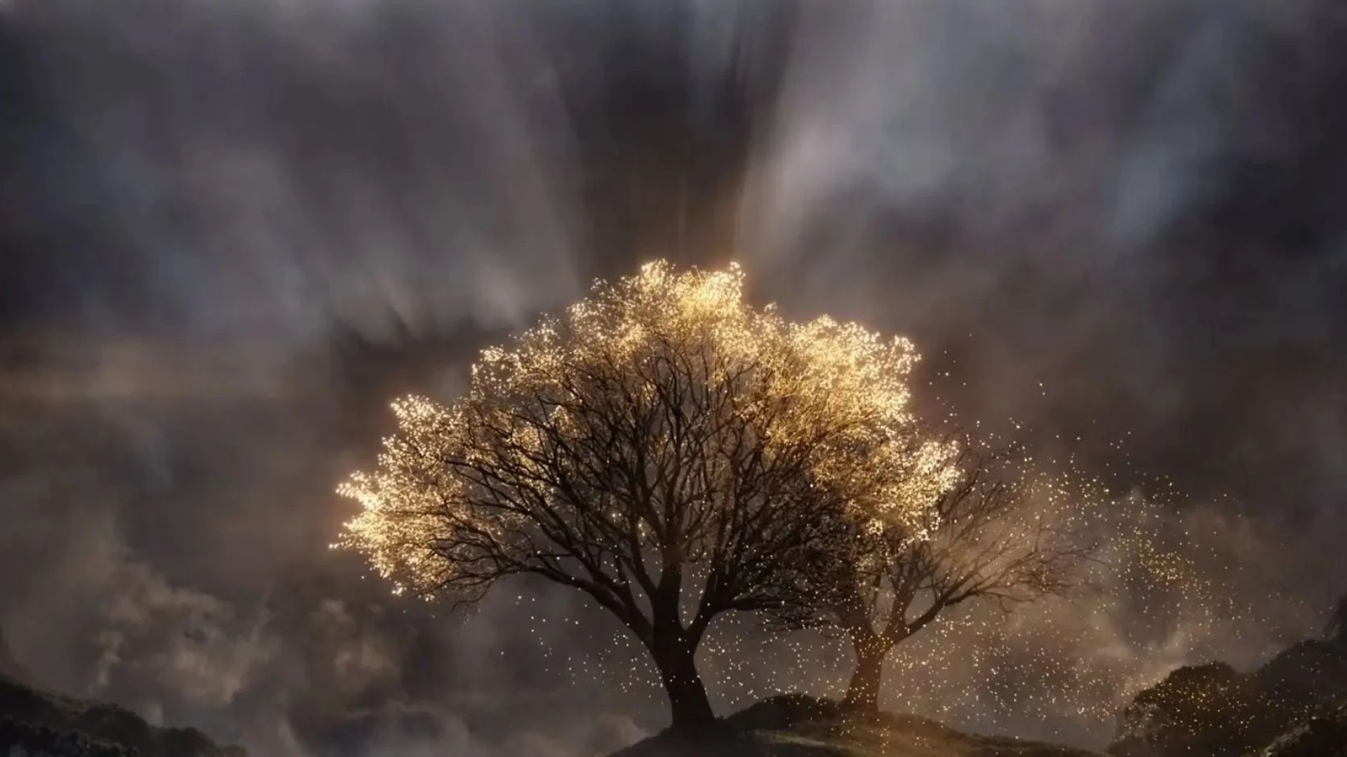 The War Over the LOTR Franchise Between Amazon and WB, Explained