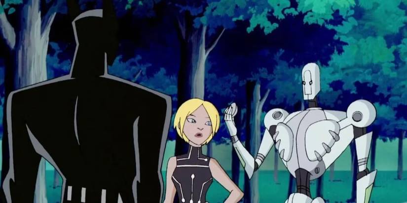 The superheroes in The Zeta Project 