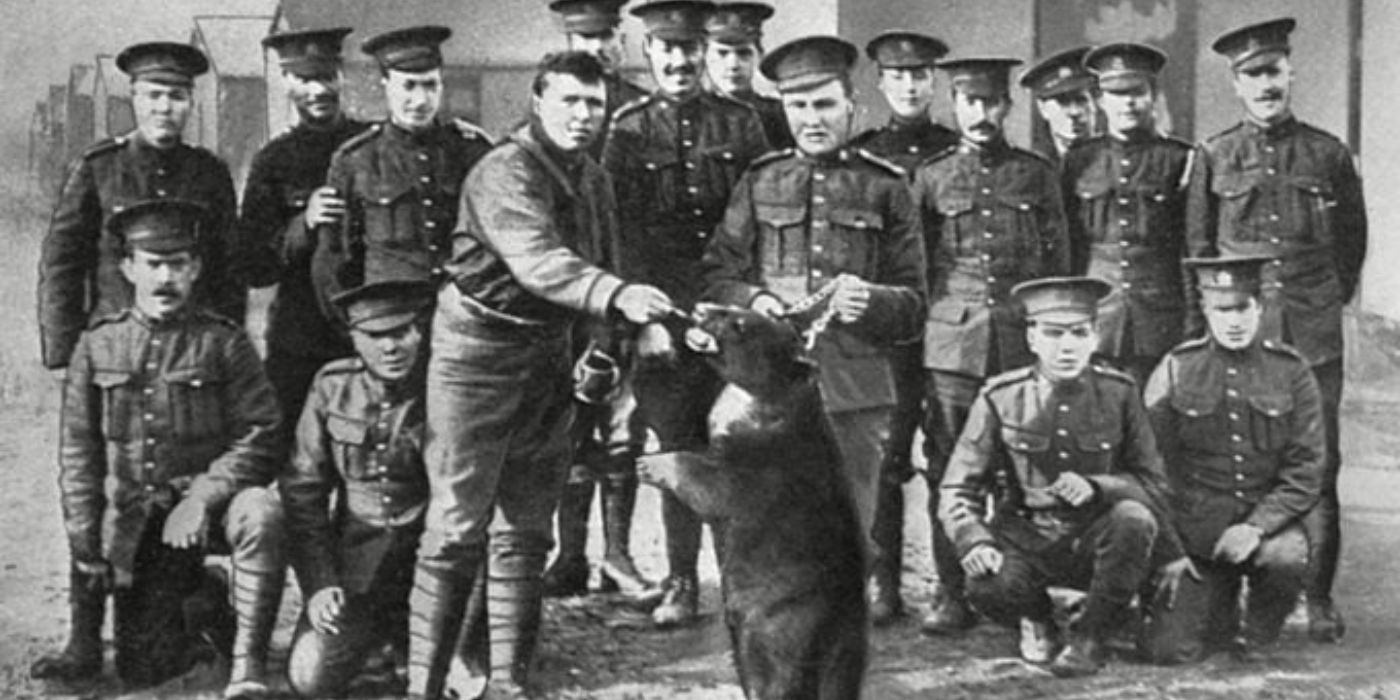 The True Story That Inspired Winnie the Pooh