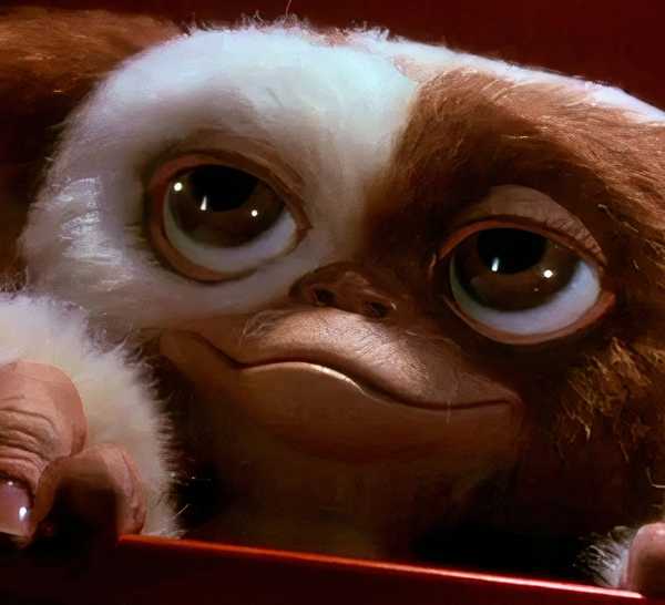Gremlin Behavior Original ‘Christmas Vacation’ Director Shares Chevy Chase's Awful Behavior