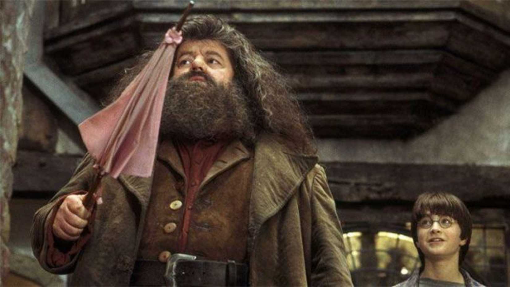 Harry e Hagrid em Pedra Filosofal (1)