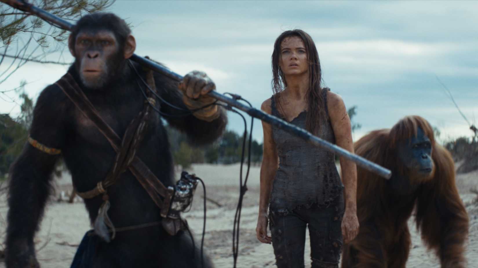New 'Planet of the Apes' Film Coming From 'Fantastic Four' Director ...