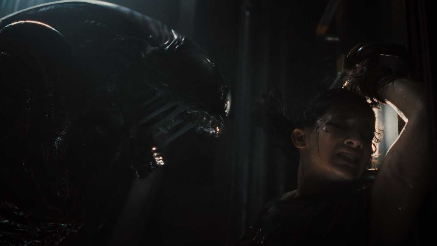Alien: Romulus Popcorn Buckets Are Coming to Theaters