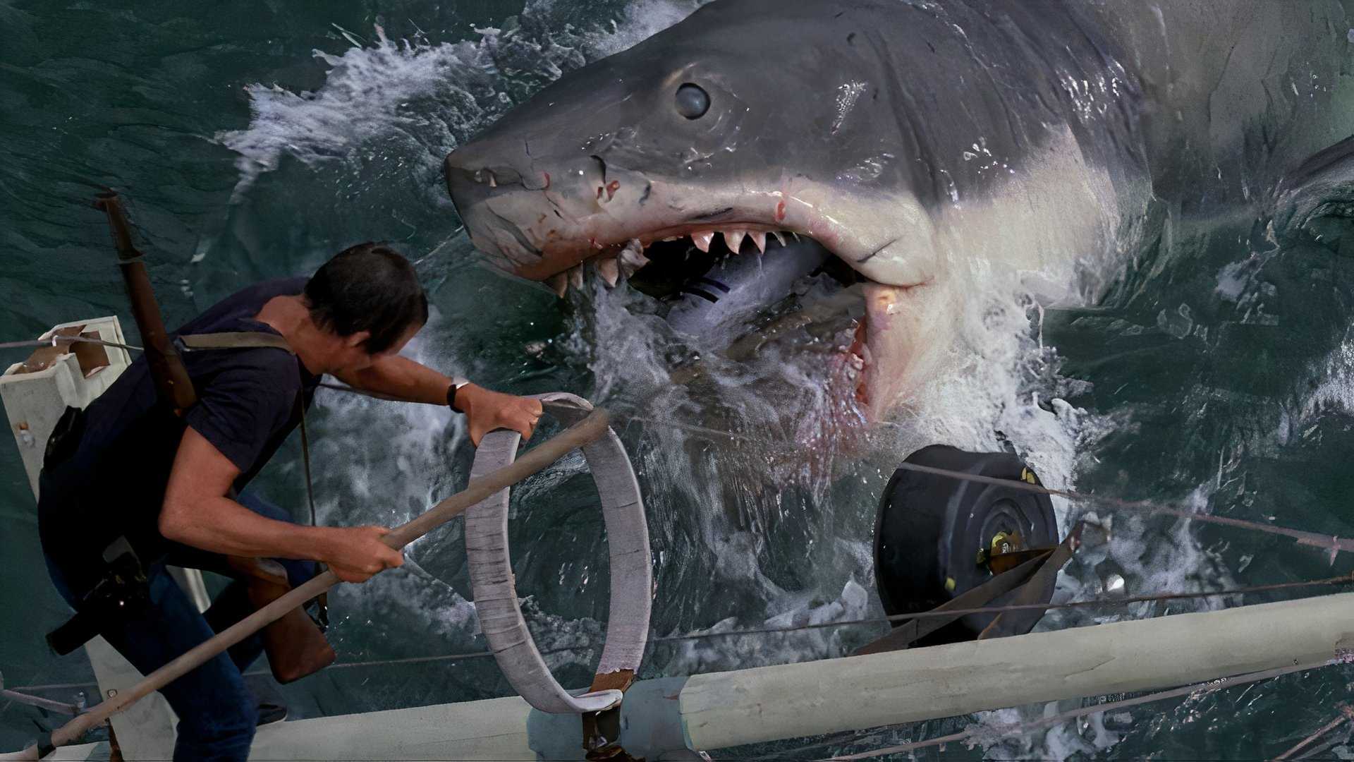 Jaws Cheify A Jaws Book Is Being Worked on by Steven Soderbergh