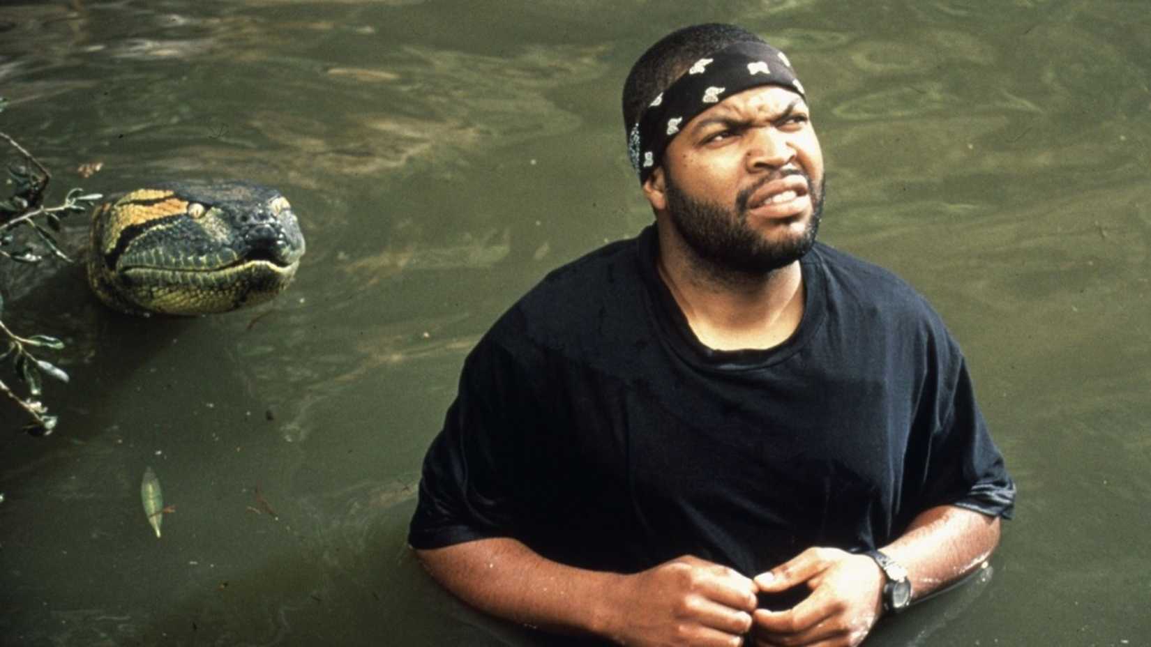 Ice Cube in Anaconda