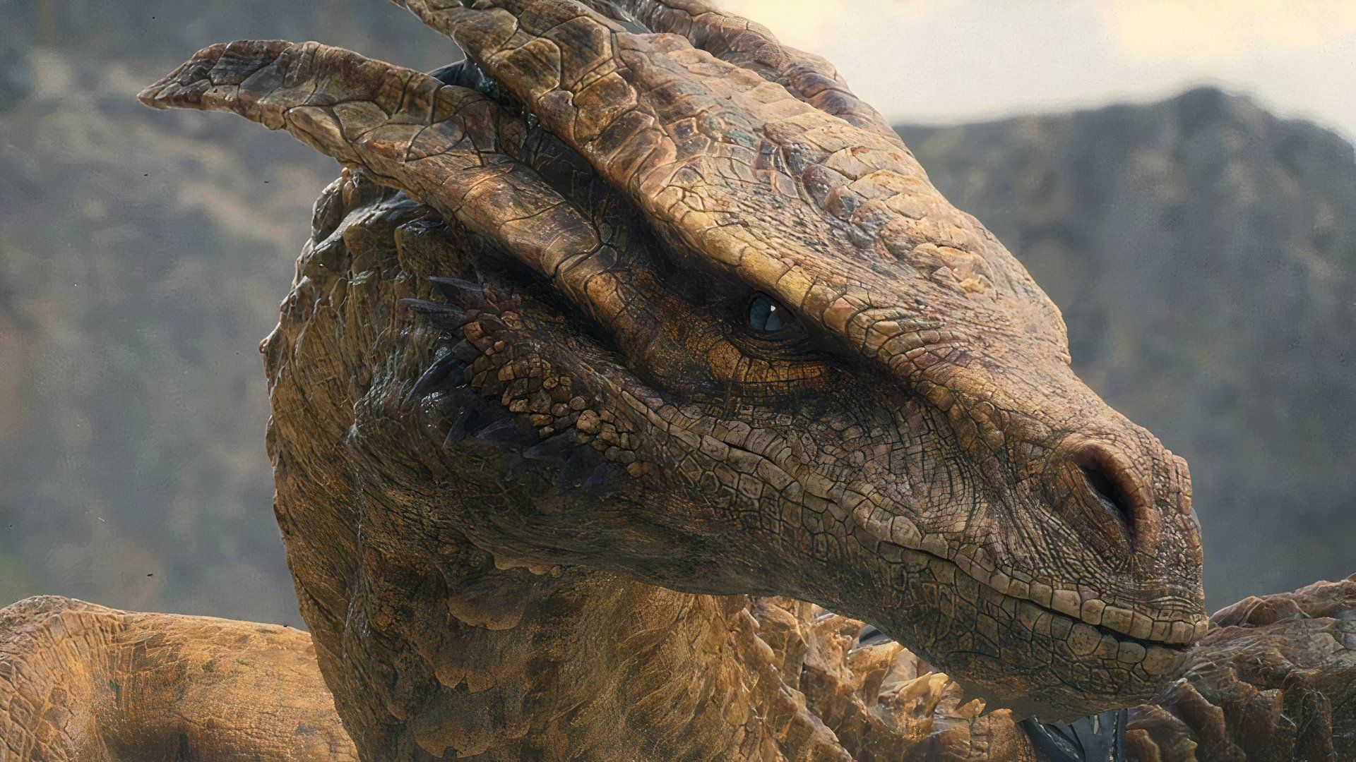 'House of the Dragon' Season 3 Casts 'Andor' Star Joplin Sibtain