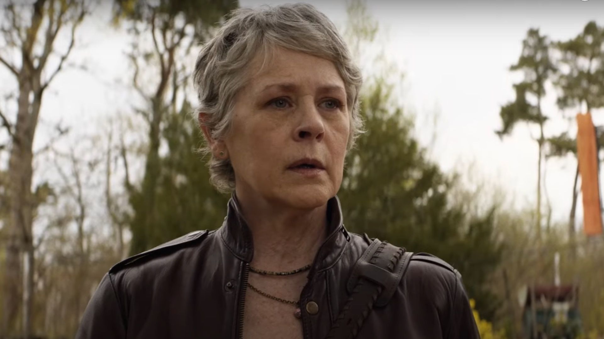 Melissa McBride Says Carol Embraces Her 'Warrior Self' in TWD: Daryl Dixon  Season 2, image size:1920x1080