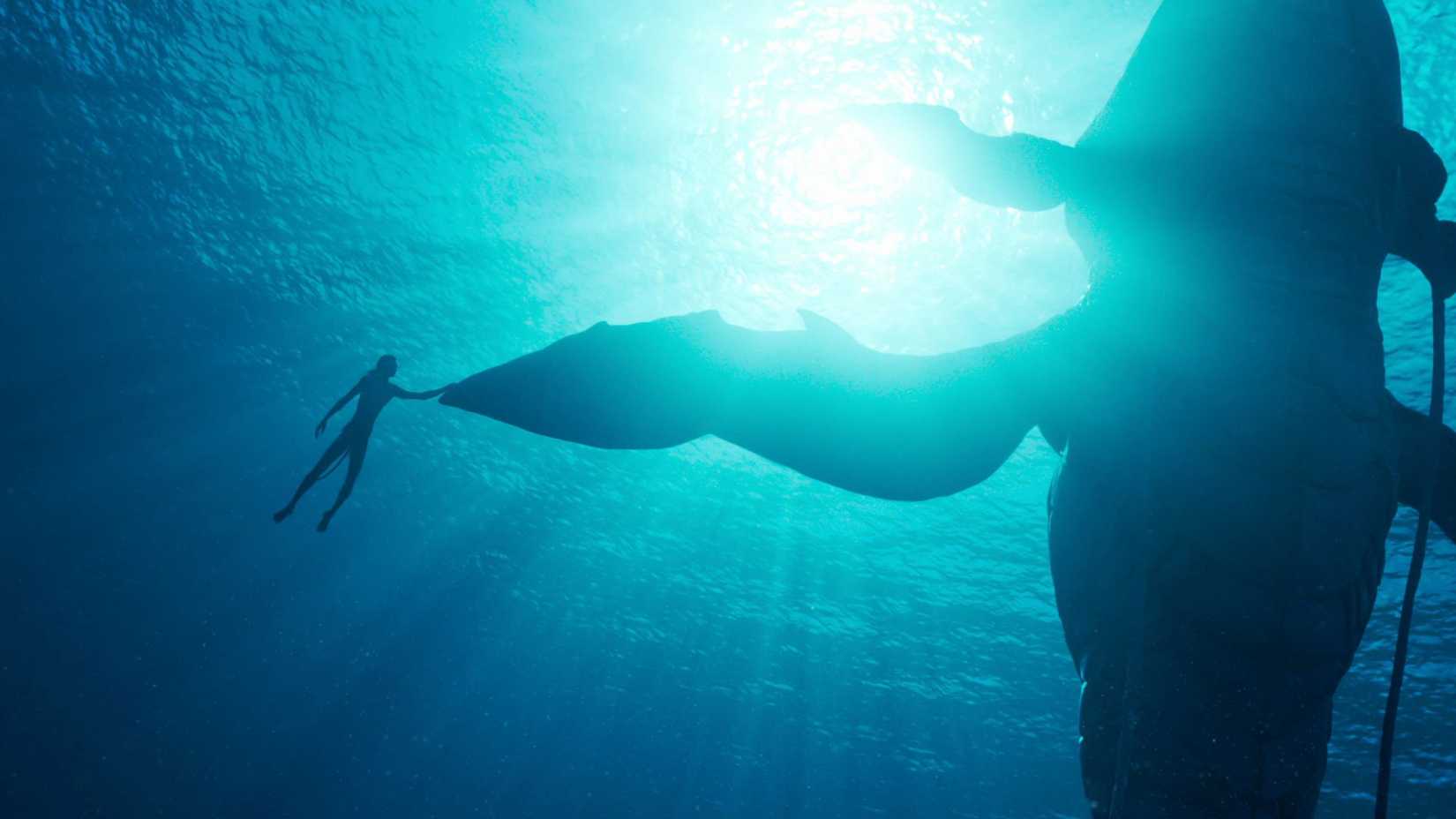 a na'vi touches a whale-like creature in avatar the way of water